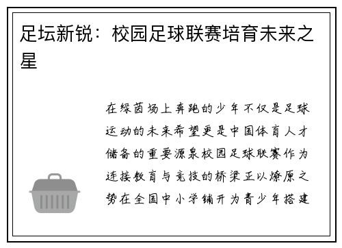 足坛新锐：校园足球联赛培育未来之星